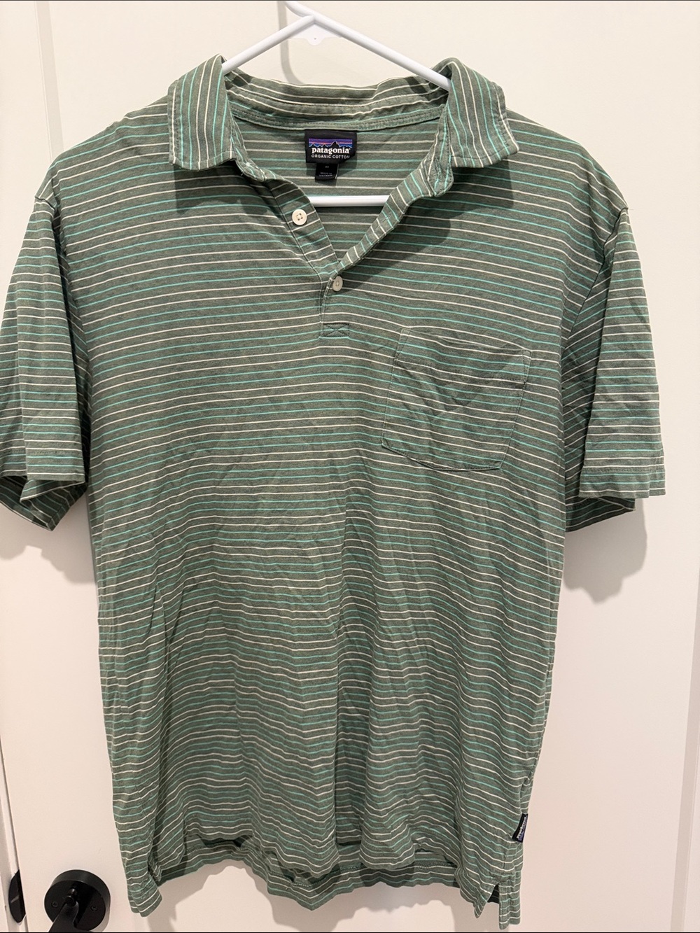 Patagonia Green and White Striped Men’s Polo